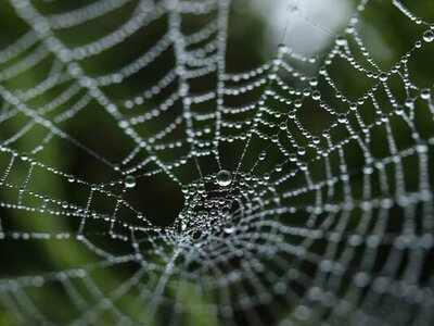 После почти 30 лет ожидания домен .web официально стал частью интернета: когда его можно будет зарегистрировать