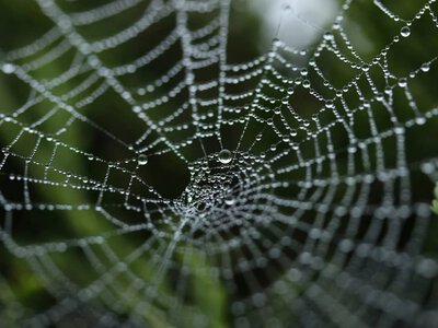Спустя почти 30 лет ожидания домен .web официально стал частью интернета: когда его смогут зарегистрировать пользователи