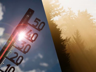 Украину ждут ливни, а затем жара до +38: прогноз погоды на последнюю неделю июля