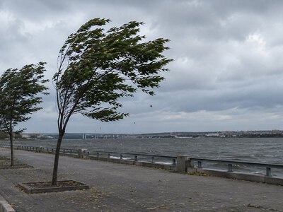 В Николаеве и области объявили штормовое предупреждение из-за сильного ветра