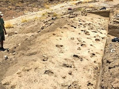 В Кении нашли следы на песке возрастом 1,4 млн лет: их оставили не люди, и не звери