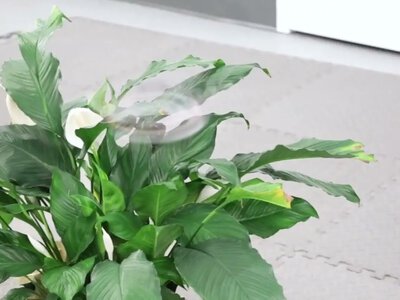 Вы его не увидите, но услышите: ученые разработали дрон, который обманывает человеческое зрение