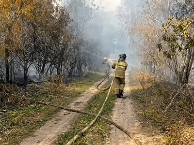  Природный пожар в Ханской роще ликвидирован 