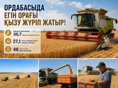 ТУРКЕСТАН: В ОРДАБАСЫ СОБРАНО 46 ТЫС. ТОНН ЗЕРНА