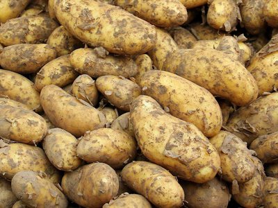 В Украине подорожали картофель, морковь и огурцы
