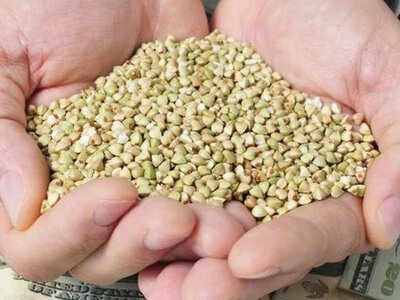 Украинский агроэкспорт обеспечил 60% всех валютных поступлений: что покупает мир