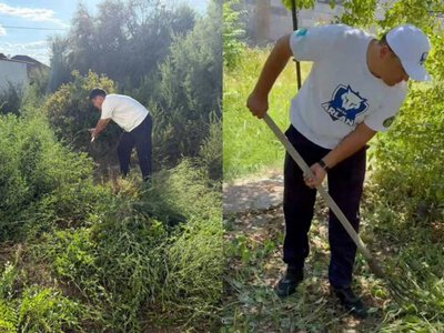 Забота вне службы: в Туркестанской области полицейские помогли более 40 пожилым людям