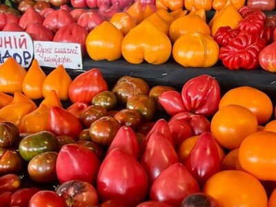 Цены на овощи в Украине — актуальная стоимость на 29 июля