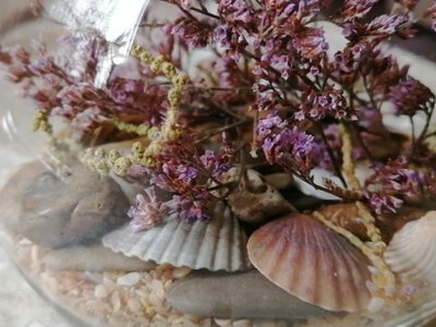 Поделки из ракушек с моря: креативные сувениры для украшения дома
