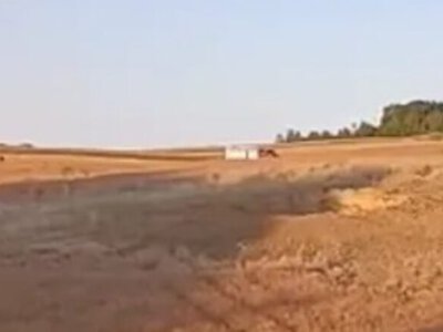 Польша продолжает расследование падения российской ракеты: к экспертизе присоединится украинский специалист