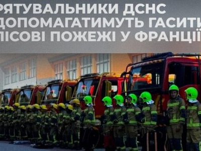 Украина направила во Францию 70 спасателей для борьбы с масштабными лесными пожарами
