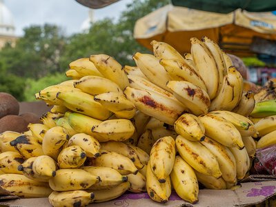 Ці продукти заповнять нестачу калію природно