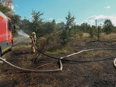 В Голосеевском районе Киева из-за атаки российского БПЛА выгорело 1200 кв. м сухой травы - ГСЧС
