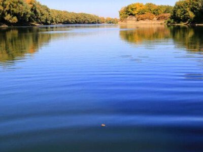 Рекордная засуха на Днестре: Украина и Молдова договорились о новом режиме работы водохранилища