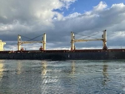 Остановка морского экспорта: аграрии потеряют миллиарды, каждое второе зерновое хозяйство рискует стать убыточным