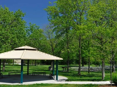 Ternopil Park: в Канаде переименовали парк в честь украинского города