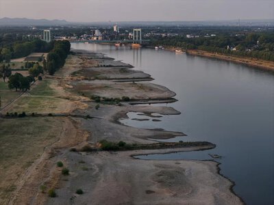 В Германии уровень воды в Рейне упал до исторического минимума