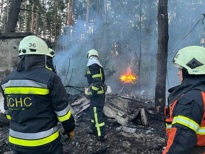 Для ликвидации лесных пожаров: Украина отправила 70 спасателей во Францию (видео)