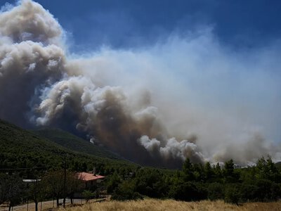 В Греции бушуют масштабные лесные пожары, уничтожены сотни домов
