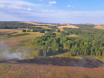  За сутки в Казахстане потушили семь лесных пожаров 