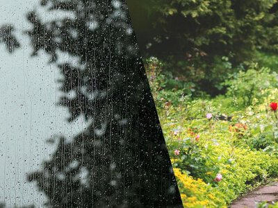 До +37 и локальные грозы: синоптики представили прогноз погоды на начало новой недели