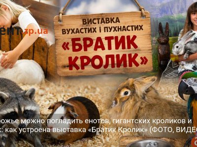 В Запорожье можно погладить енотов, гигантских кроликов и черепах: как устроена выставка «Братик Кролик» (ФОТО, ВИДЕО)