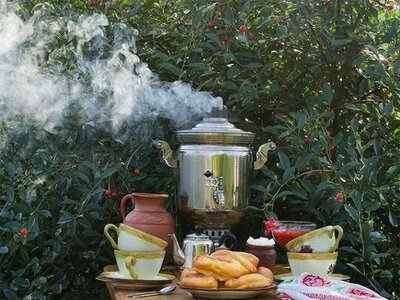 30 чайных трав и растений