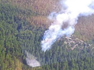  В Казахстане за сутки потушили пять лесных пожаров 