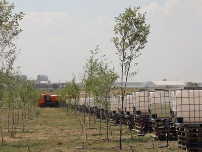 Как ухаживают за деревьями в новом экопарке Караганды