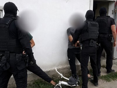  Скотокрадов вычислили в Карагандинской области 