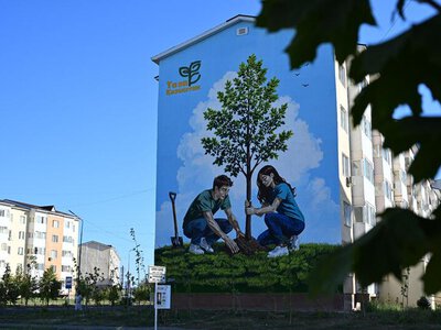 В Талдыкоргане появились новые муралы, посвящённые программе «Таза Қазақстан» и концепции «Закон и Порядок»