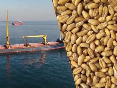 Россия бьет по экспорту Украины: правительство пообещало поддержку аграриям