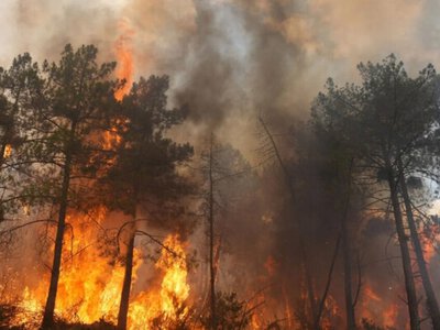  Ущерб от лесных пожаров в Европе в этом году уже превысил €3 млрд – FT 