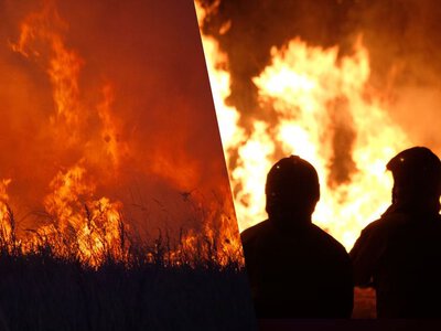 Во Франции людей возвращают домой после лесных пожаров: какова ситуация с ними сейчас