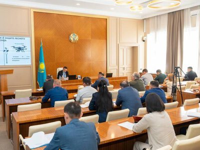 Площадь лесных пожаров в ВКО сократилась в два раза