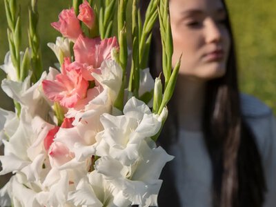 Как продлить цветение гладиолусов после срезки: простые домашние способы