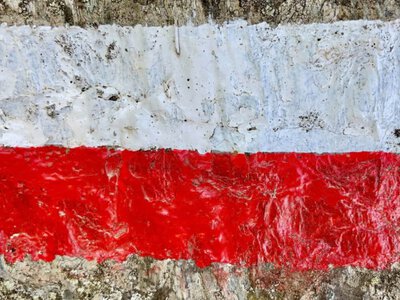 Наконец-то открываются глаза: соцсети взорвались обсуждением миграции украинцев из Польши (Видео)