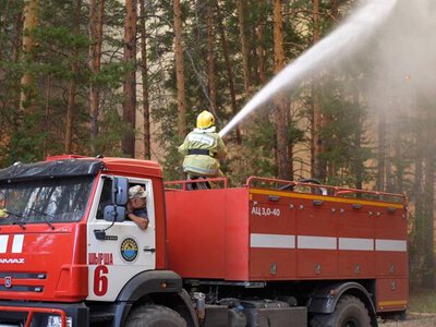 АО «Жасыл даму» направило 33,1 млрд тенге на противопожарную технику для защиты лесов Казахстана