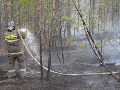  562 лесных пожара с начала года: что изменилось после трагедии в «Семей орманы» 