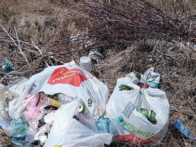 На Николаевщине наказали за стихийную свалку: мусор вернули владельцу
