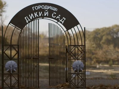 Новые открытия археологов в Николаеве: что удалось выяснить о древнем городище «Дикий Сад»