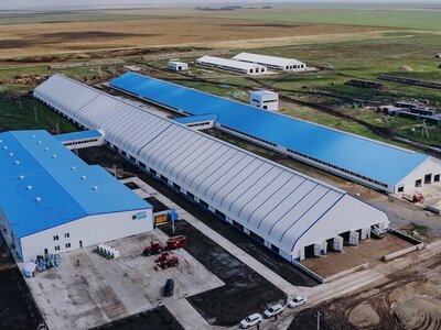 В Северо-Казахстанской области открыли мегаферму с крупнейшей в Центральной Азии доильной установкой