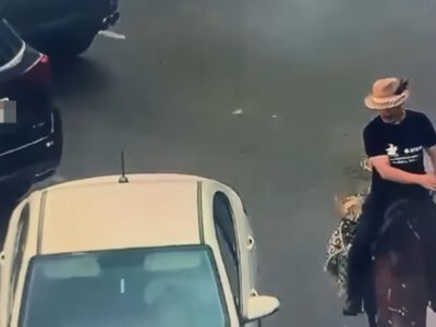  Всадник на лошади нарушил правила в центре Астаны: детали случая 