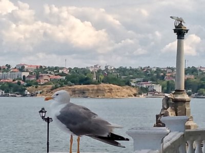 Российские власти обещают закрыть путь с моря украинским БпЛА в Севастополь. Реально ли это?