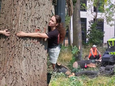 В Голосеевском районе Киева вырубают парк со 100-летними дубами: местные жители протестуют