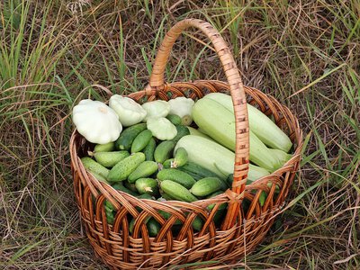 Які овочі не можна зберігати поруч
