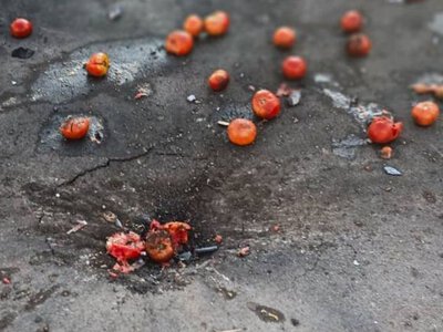 В Сумской области враг цинично нанес удар с помощью дрона по людям на рынке