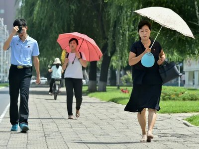 Жителей Северной Кореи призвали спасаться от жары супом из собак