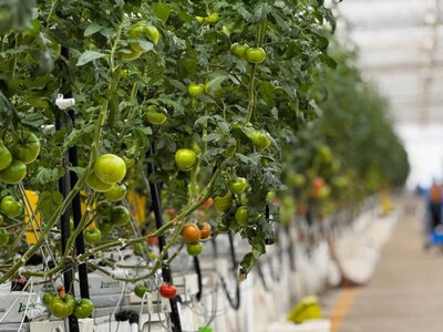  Казахстан увеличит экспорт продукции АПК: поставки достигли $7 млрд 