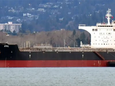 Достались даже в море: Россия совершила атаку на немецкий бизнес сразу в нескольких местах